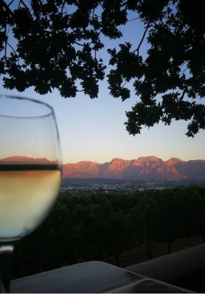 Wine glass at sunset with mountain views